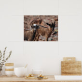 製品カスタマイズ ポスター (キッチン)