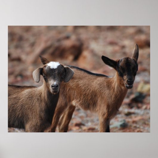 製品カスタマイズ ポスター (正面)