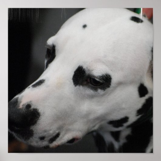 製品カスタマイズ ポスター (正面)