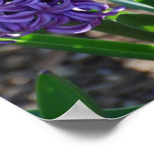 製品カスタマイズ ポスター (角)