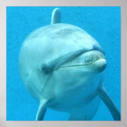 製品カスタマイズ ポスター (正面)