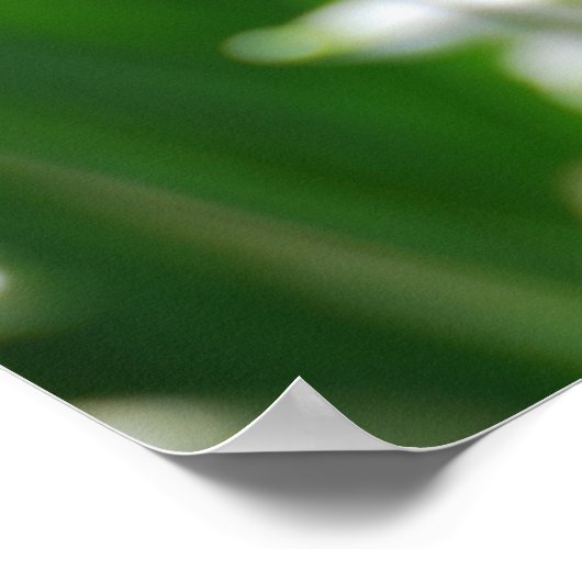 製品カスタマイズ ポスター (角)