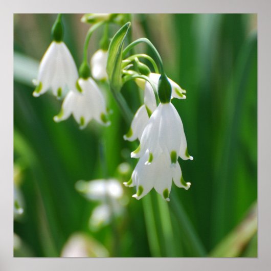 製品カスタマイズ ポスター (正面)