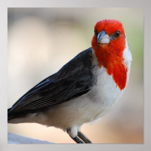 製品カスタマイズ ポスター (正面)