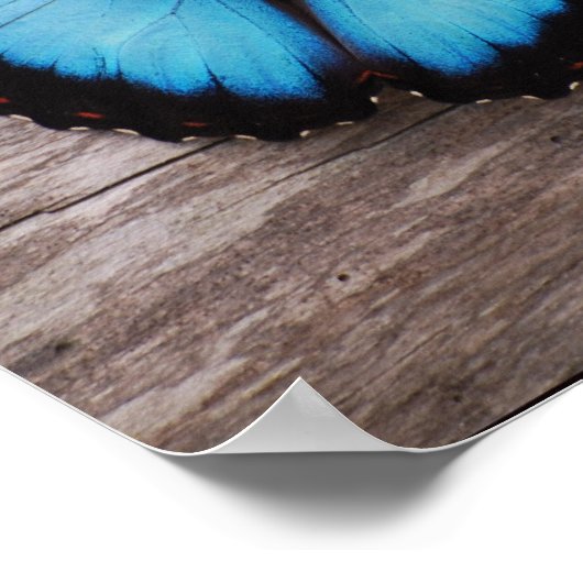 製品カスタマイズ ポスター (角)