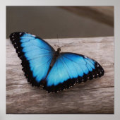 製品カスタマイズ ポスター (正面)