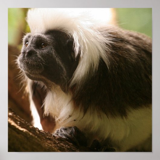 製品カスタマイズ ポスター (正面)