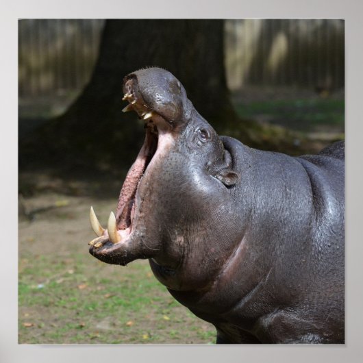 製品カスタマイズ ポスター (正面)