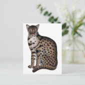 製品カスタマイズ ポストカード (スタンド正面)