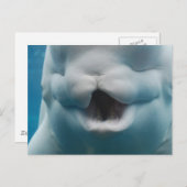 製品カスタマイズ ポストカード (正面/裏面)