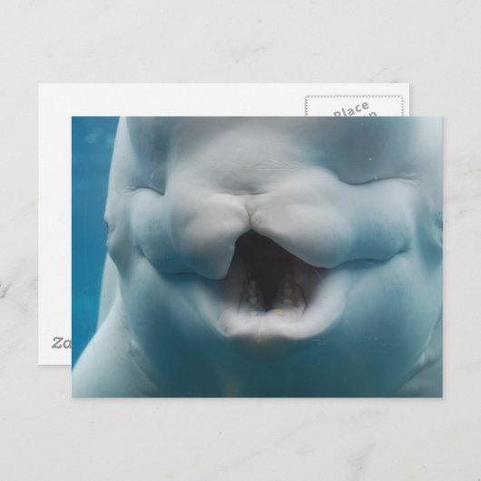 製品カスタマイズ ポストカード (正面/裏面)