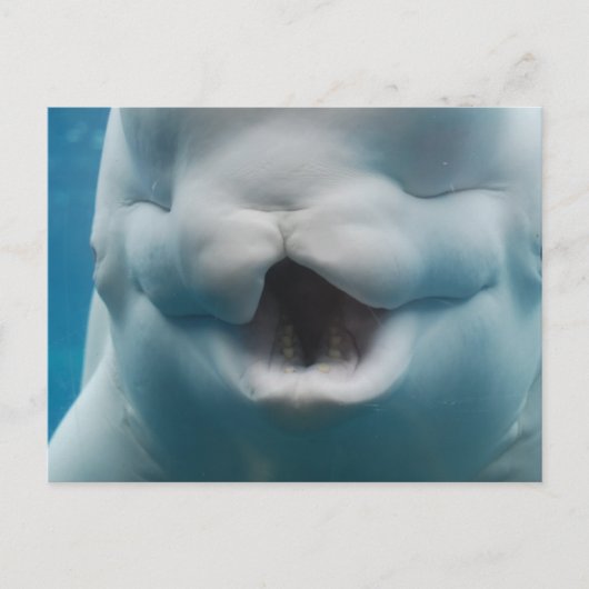 製品カスタマイズ ポストカード (正面)