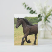 製品カスタマイズ ポストカード (スタンド正面)