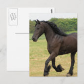 製品カスタマイズ ポストカード (正面/裏面)