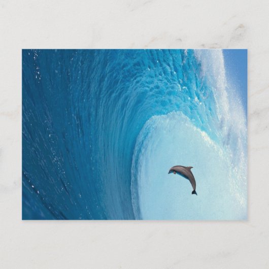 製品カスタマイズ ポストカード (正面)