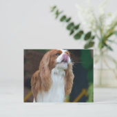 製品カスタマイズ ポストカード (スタンド正面)