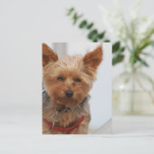 製品カスタマイズ ポストカード (スタンド正面)