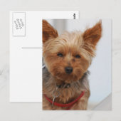 製品カスタマイズ ポストカード (正面/裏面)