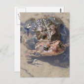 製品カスタマイズ ポストカード (正面/裏面)