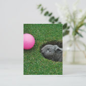 製品カスタマイズ ポストカード (スタンド正面)