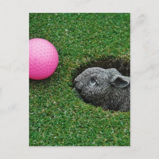 製品カスタマイズ ポストカード (正面)