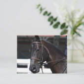 製品カスタマイズ ポストカード (スタンド正面)