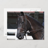 製品カスタマイズ ポストカード (正面/裏面)