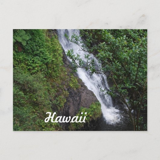 製品カスタマイズ ポストカード (正面)