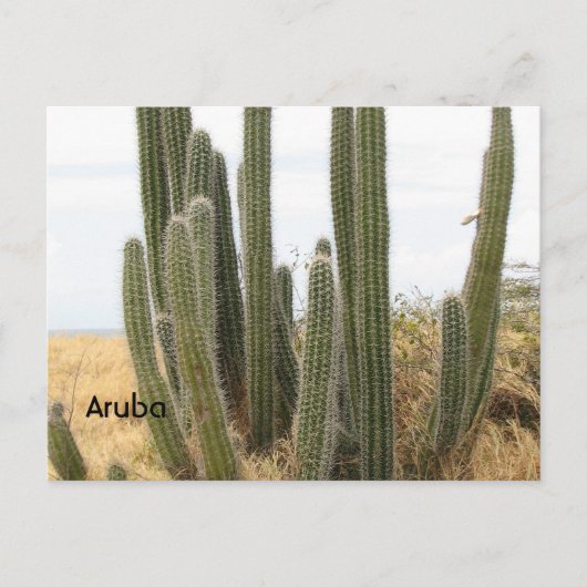 製品カスタマイズ ポストカード (正面)