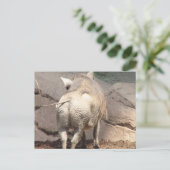 製品カスタマイズ ポストカード (スタンド正面)