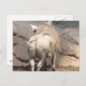 製品カスタマイズ ポストカード (正面/裏面)