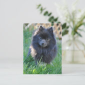 製品カスタマイズ ポストカード (スタンド正面)