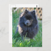 製品カスタマイズ ポストカード (正面/裏面)