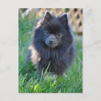 製品カスタマイズ ポストカード