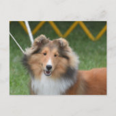 製品カスタマイズ ポストカード (正面)