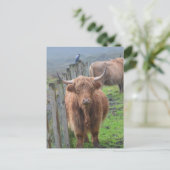 製品カスタマイズ ポストカード (スタンド正面)