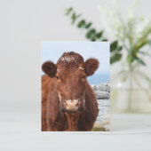 製品カスタマイズ ポストカード (スタンド正面)