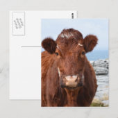 製品カスタマイズ ポストカード (正面/裏面)