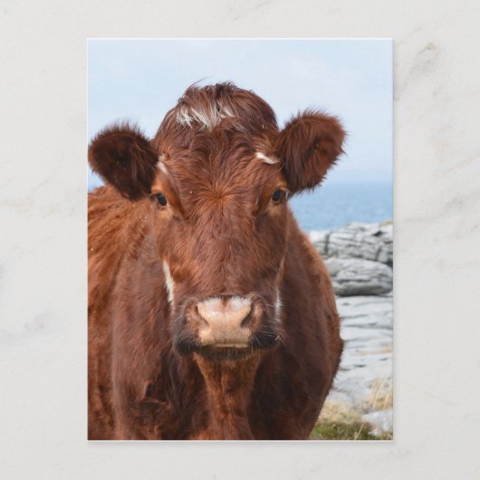 製品カスタマイズ ポストカード (正面)