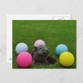 製品カスタマイズ ポストカード (正面/裏面)