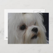 製品カスタマイズ ポストカード (正面/裏面)