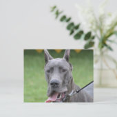 製品カスタマイズ ポストカード (スタンド正面)