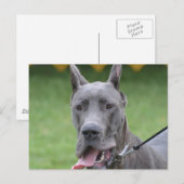 製品カスタマイズ ポストカード (正面/裏面)