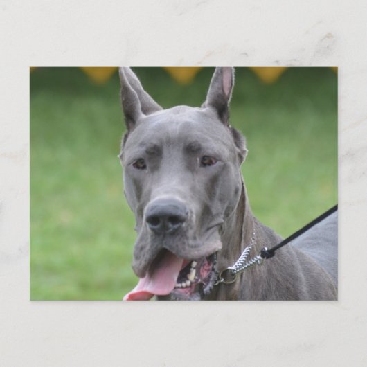 製品カスタマイズ ポストカード (正面)