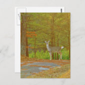 製品カスタマイズ ポストカード (正面/裏面)