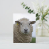 製品カスタマイズ ポストカード (スタンド正面)