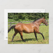 製品カスタマイズ ポストカード (正面/裏面)