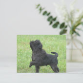 製品カスタマイズ ポストカード (スタンド正面)