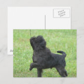 製品カスタマイズ ポストカード (正面/裏面)