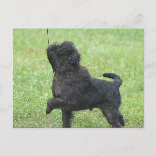 製品カスタマイズ ポストカード (正面)